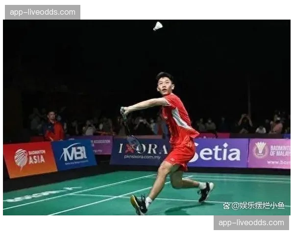 运动品牌押注奥运年,羽毛球装备市场销售额预计增长15% 运动品牌押注奥运年,羽毛球装备市场销售额预计增长15%